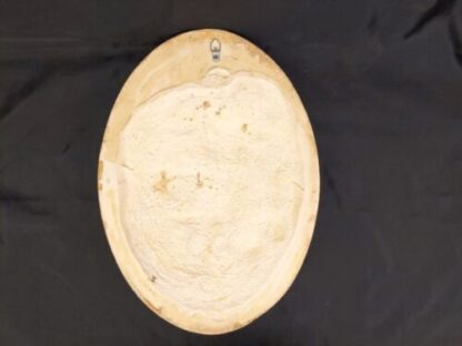 VTG Pair 2 Greco-Roman Neoclassical Art Relief Resin Oval Wall Plaques 16" Greek - Image 12